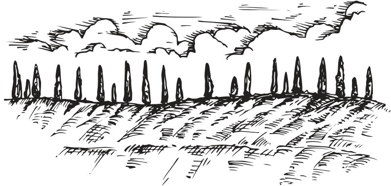 Tuscan Trees Illustration